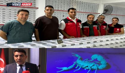 Şanlıurfalı firmadan estetikte dikkat çeken yenilik: Akrep zehrinden botoks kremi