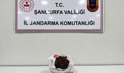 Viranşehir’de Narkotik Operasyonu: 1 Kilogram Skunk Ele Geçirildi