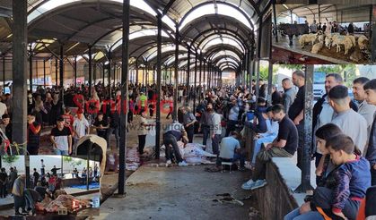 Şanlıurfa’da Kurban Kesim Alanlarında Yoğunluk Yaşandı