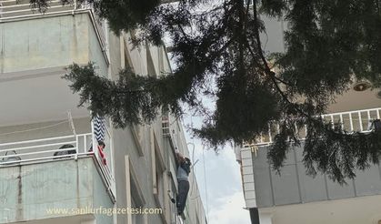 İşçi Bayramında Birecik’te İnşaattan Düşen 2 İşçi Yaralandı