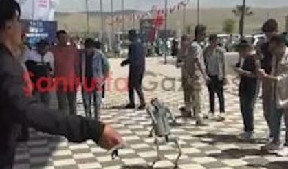 Şanlıurfa Bilim Şenliği’nde “Şevko” Oynayan Robot İlgi Odağı Oldu