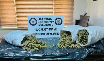 Şanlıurfa’da Narkotik Operasyonu: 8 Kilo Esrar Ele Geçirildi