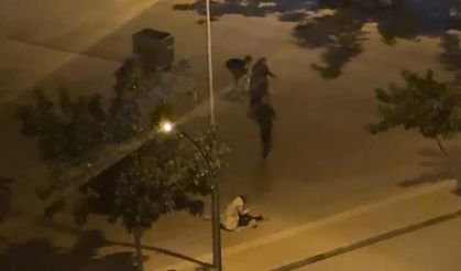 Anne ölmüştü; Şanlıurfa’da kan donduran serbestlik!