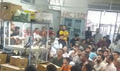 Şanlıurfa’da Kuş Meraklıları İhalede Buluştu