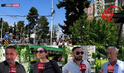 Şanlıurfalılardan Ortak Mesaj: Kadınlar Ayrıştırılamaz
