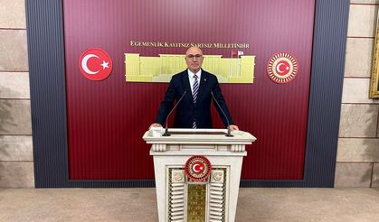 CHP Yeni Parti Milletvekili Tanal: “Şanlıurfa’nın hakkı da eksik bırakılmasın!”