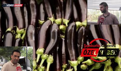 Yaz geldi, Şanlıurfa'da patlıcan kebabı sezonu başladı