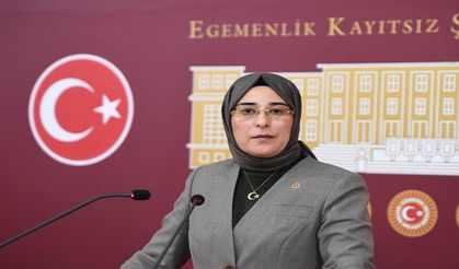 Milletvekili Yazmacı Duyurdu: Ceylanpınar'a Halk Kütüphanesi Müjdesi!