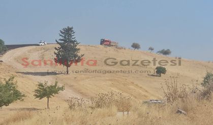 Şanlıurfa’da korkutan yangın: Takviye ekip isteniyor!