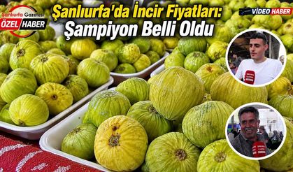Şanlıurfa o meyvenin hem şampiyonunu belirledi hem de borsasını