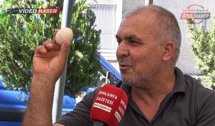 Yumurta alırken dikkat! Şanlıurfa’da uzmanından “Bozuk yumurta” uyarısı