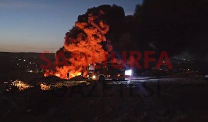 Şanlıurfa’da korkutan yangın! Alevler yerleşim alanına yaklaştı