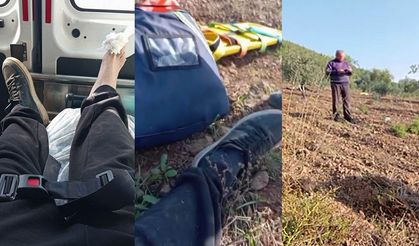 Arazi kavgası kanlı bitti: Öz yeğenini ölüme terk etti!