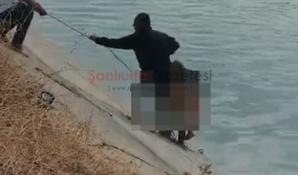 Şanlıurfa’da Sulama Kanalına Düşen Çocuk Ağır Yaralandı!