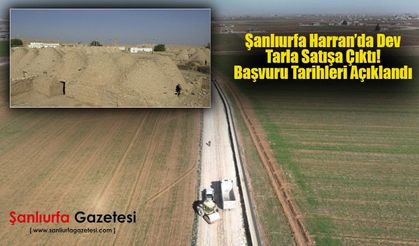 Şanlıurfa Harran’da Dev Tarla Satışa Çıktı! Başvuru Tarihleri Açıklandı