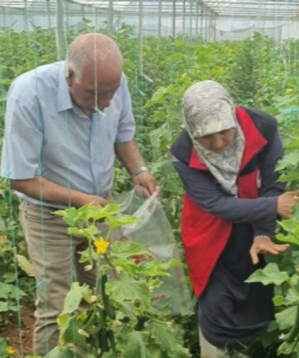 Şanlıurfa Tarımında Ekolojik Üretim Hamlesi: Seralar Mercek Altında