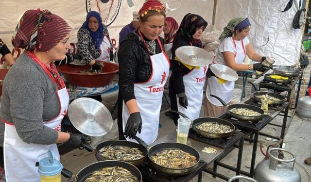 Bodrum'da hamsi ziyafeti: 3 ton hamsi dağıtıldı