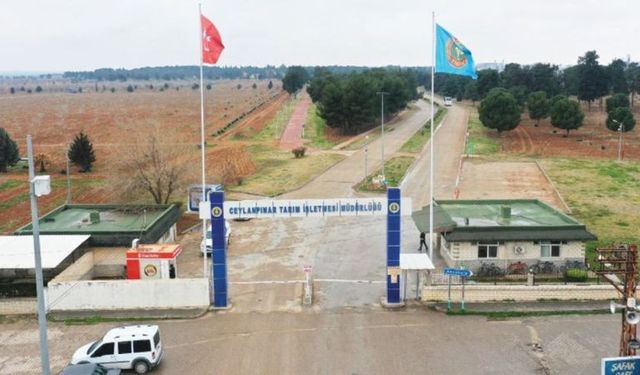 Ceylanpınar Tarım İşletmesi Müdürlüğü 2026 Yılı Giyecek İlanını Yayınladı: İşte Detaylar!