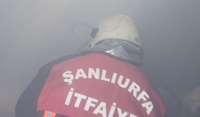 Şanlıurfa'da mevsimlik işçilerin evi dumanla bir oldu!