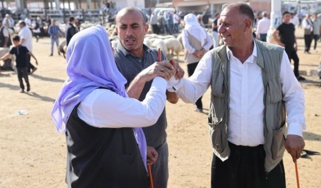 Şanlıurfa’da Kurbanlık Alacaklar Dikkat! İşte Güncel Rakamlar