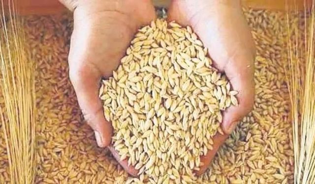 2026 buğday alım fiyatları belli oldu mu, Arpa, buğday ve hububat alımında son durum ne?