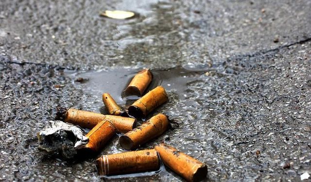 Sigara İçmeyenlerde Akciğer Kanseri Neden Artıyor? Uzman Açıkladı!