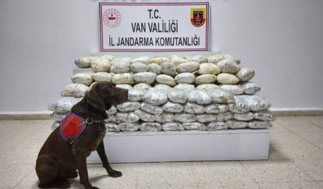 Van’da Dev Uyuşturucu Operasyonu!
