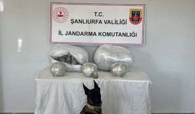 Şanlıurfa’da Narkotik Köpeğinin Tepkisi Büyük Operasyonu Başlattı!