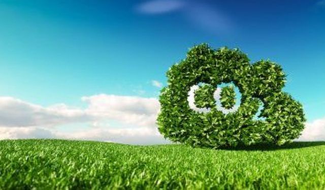 Egzoz Gazı Maruziyeti Felce Kadar Götürüyor!