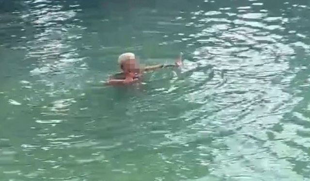 Şanlıurfa Balıklıgöl'de Şaşkınlık Yaratan Olay!