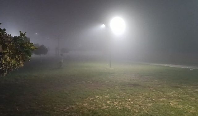 Şanlıurfa’da Sis Alarmı! Uzmanlardan Sürücülere Uyarı!