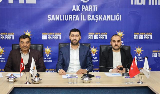 AK Parti Şanlıurfa İl Başkanlığı İnsan Hakları Birimi İstişare Toplantısı Yapıldı