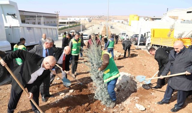 Karaköprü Belediyesi’nden Daha Yeşil Bir Gelecek İçin Ağaçlandırma Seferberliği