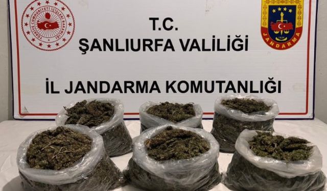 Şanlıurfa'da uyuşturucu operasyonu: 16 gözaltı