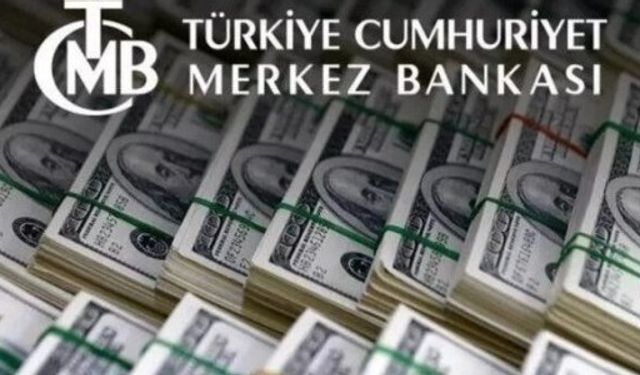 Bankacılar Hesapladı: Merkez Bankası’ndan Rekor Döviz Satışı