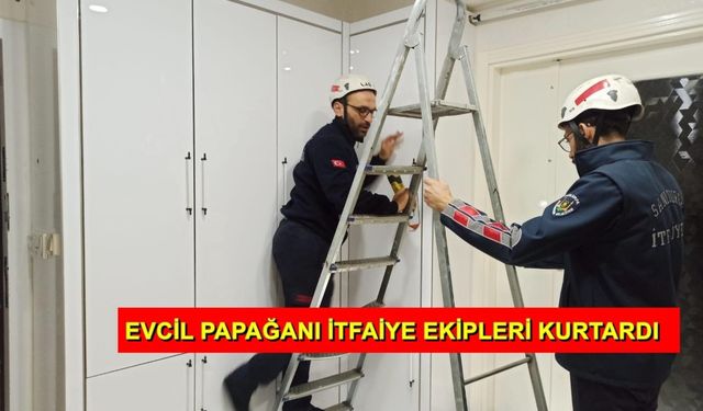 Şanlıurfa'da Vestiyere Sıkışan Papağanı İtfaiye Kurtardı