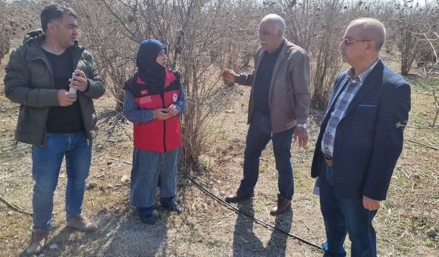 "Şanlıurfa'da Nar Üreticilerine Hasat Öncesi Pestisit Denetimi Eğitimi"