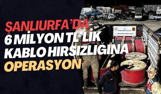 Şanlıurfa’da 6 Milyon TL’lik Kablo Hırsızlığına Operasyon!
