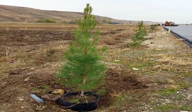 Şanlıurfa Orman Bölge Müdürlüğü, Dünya Ormancılık Günü ve Orman Haftası Etkinlikleri Düzenliyor