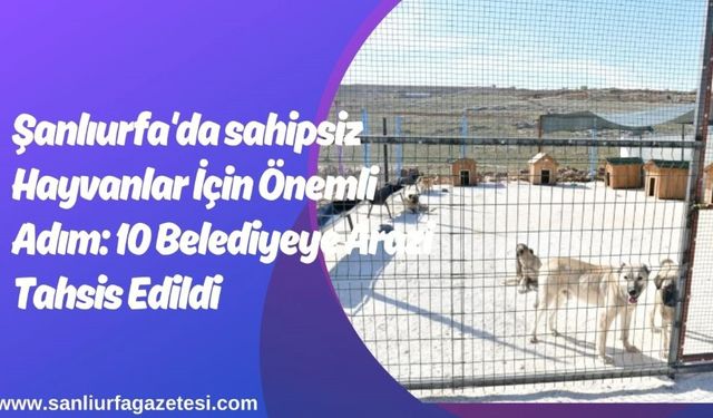 Şanlıurfa'da sahipsiz Hayvanlar İçin Önemli Adım: 10 Belediyeye Arazi Tahsis Edildi