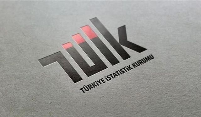 TÜİK 2024 Çocuk Sağlığı ve Yoksunluğu Verilerini Açıkladı