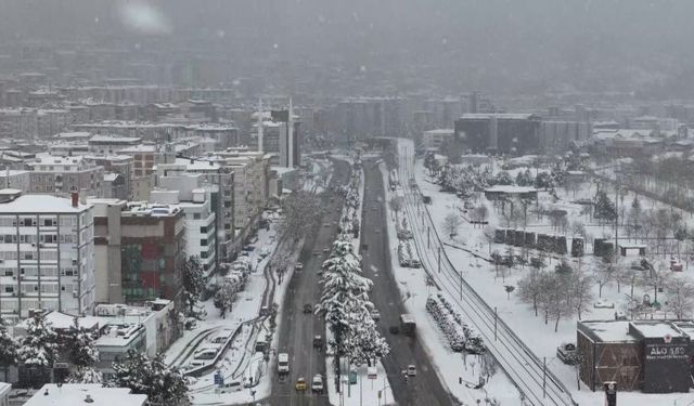 Şanlıurfa Alarmda: Zirai Don ve Buzlanma Tehlikesi Kapıda!