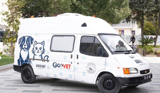 "Gaziosmanpaşa’da Sokak Hayvanlarına Mobil Veteriner Desteği"