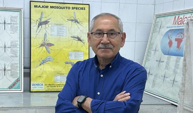 Sivrisinekler Sadece Sıtma Değil, Yeni Virüsler de Taşıyor