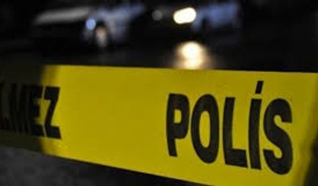 Eskişehir’de Kayıp Kadın Ormanlık Alanda Yakılmış Olarak Bulundu, Katil Yakalandı