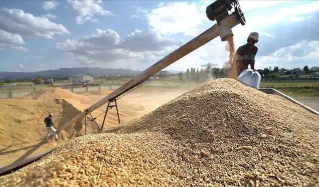 Güneydoğu'dan Hububat İhracatında Yüzde 9,8'lik Artış: Suriye Pazarı Canlanıyor