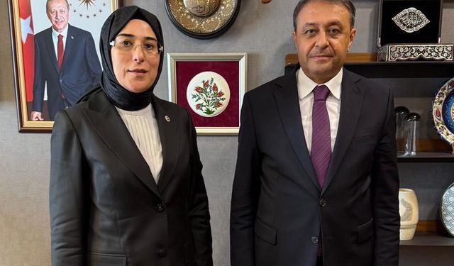 Meclis’te Şanlıurfa Gündemi: Vali Şıldak’tan Yazmacı’ya Ziyaret