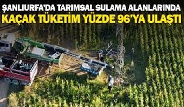 Enerji Tüketiminde Alarm Zilleri: Kaçak Oranı Rekor Kırdı