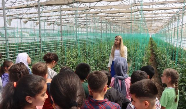 Şanlıurfa’da Geleceğin Doğa Dostları Yetişiyor: ‘Doğa Kardeşliği Projesi’ Başladı