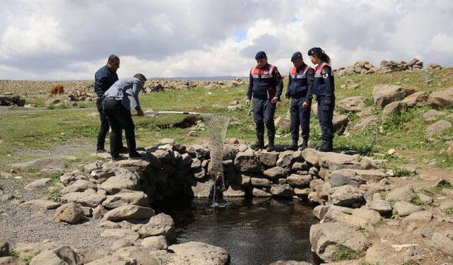 Balıkların Göç Yolu Karacadağ'da Son Buldu: İşte O İlginç Detaylar!
